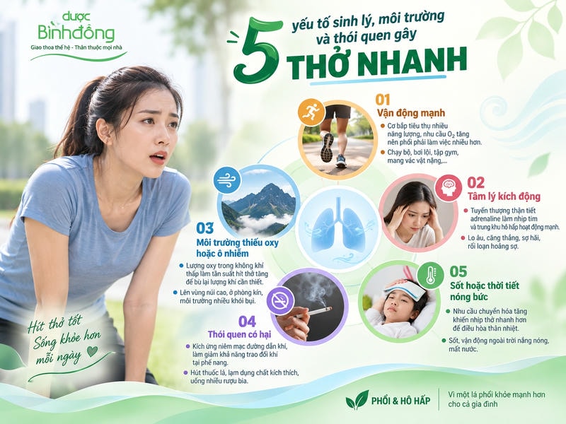 Infographic năm yếu tố gây thở nhanh: vận động, căng thẳng, thiếu oxy hoặc ô nhiễm, thói quen có hại, sốt.
