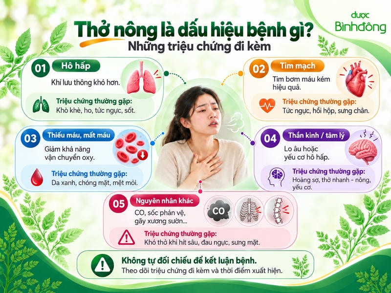 Infographic năm nhóm nguyên nhân liên quan thở nông: hô hấp, tim mạch, thiếu máu, thần kinh/tâm lý và nguyên nhân khác.