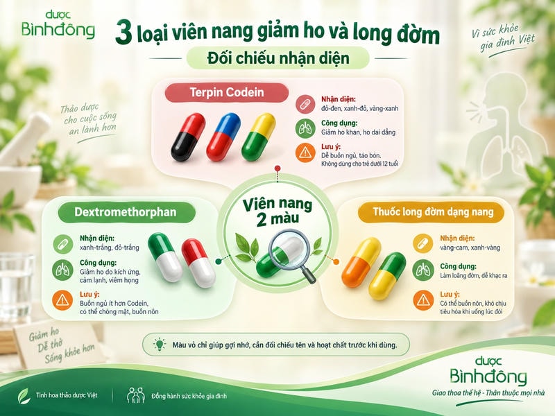 Infographic đối chiếu ba nhóm viên nang hai màu: Terpin Codein, Dextromethorphan và thuốc long đờm theo màu vỏ, công dụng, tác dụng phụ.