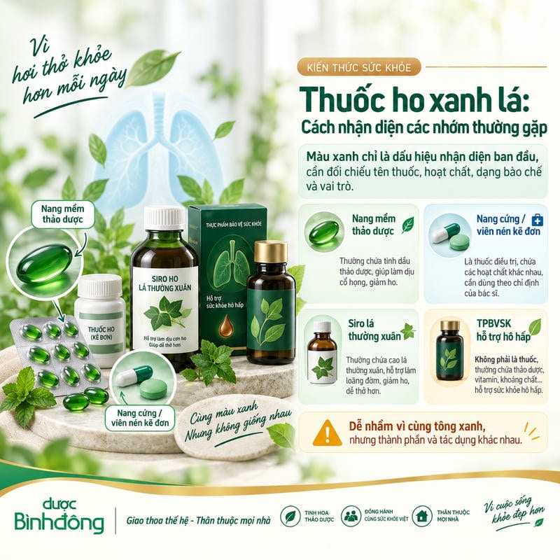 Infographic phân biệt các nhóm sản phẩm trị ho xanh lá theo dạng bào chế, thành phần và vai trò sử dụng.