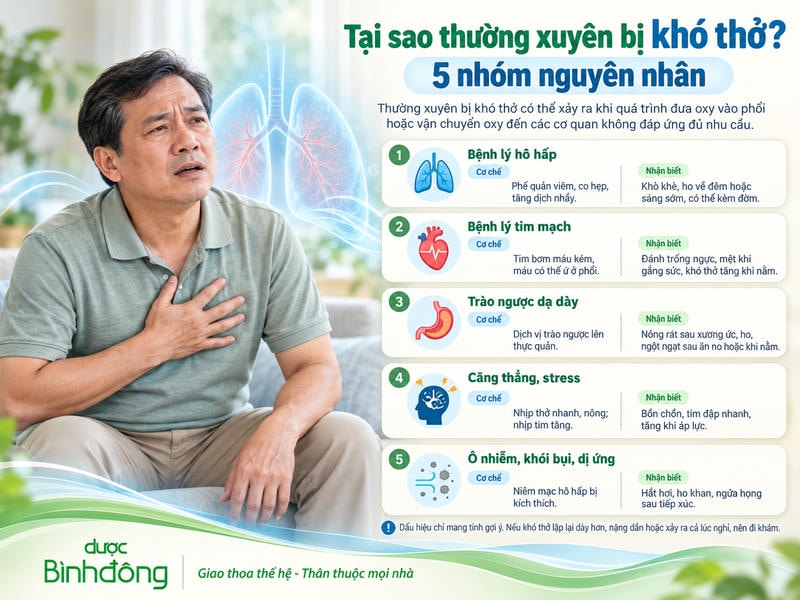 Infographic 5 nhóm nguyên nhân thường xuyên bị khó thở gồm bệnh hô hấp, tim mạch, trào ngược dạ dày, stress và kích ứng môi trường.