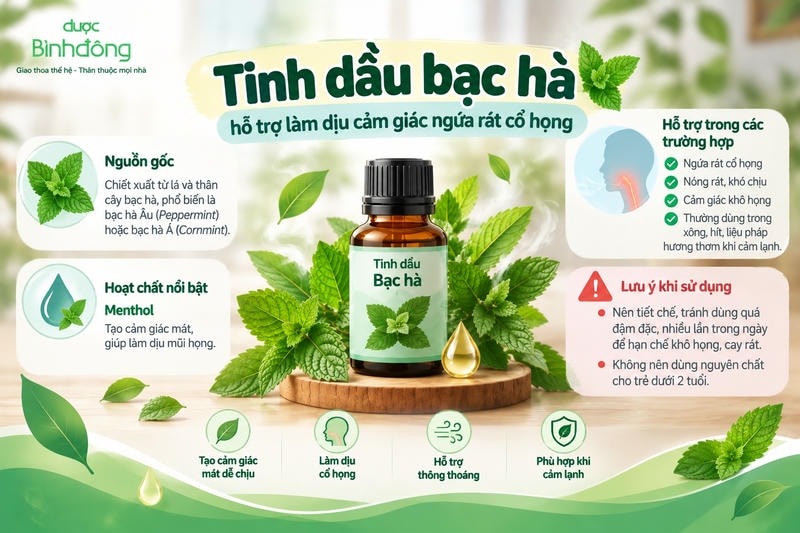 Infographic về tinh dầu bạc hà chiết xuất từ lá và thân, nổi bật với menthol tạo cảm giác mát; minh họa hỗ trợ làm dịu ngứa rát cổ họng, thông thoáng mũi họng và các lưu ý khi sử dụng.