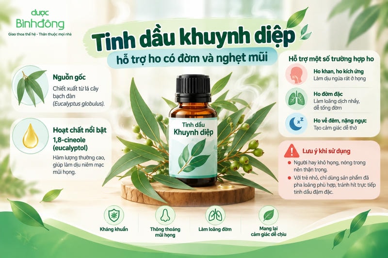 Infographic về tinh dầu khuynh diệp chiết xuất từ lá bạch đàn, nổi bật với 1,8-cineole; minh họa hỗ trợ ho khan, ho đờm đặc, ho về đêm và các lưu ý khi sử dụng.