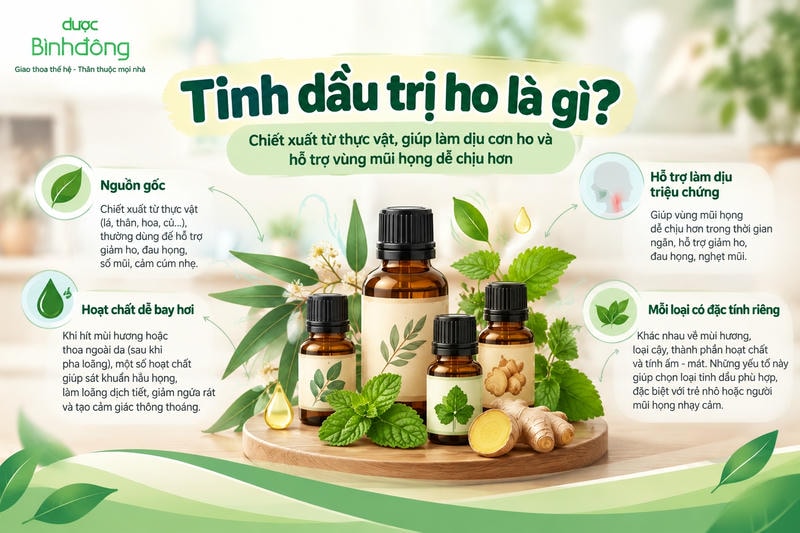 Infographic giải thích tinh dầu hỗ trợ ho là chiết xuất thực vật chứa hoạt chất dễ bay hơi, với đặc tính khác nhau theo từng loại.