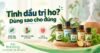 Thumbnail giới thiệu tinh dầu hỗ trợ ho với tràm, khuynh diệp, bạc hà, gừng và húng chanh, kèm khái niệm, loại phổ biến và lưu ý sử dụng.