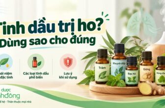 Thumbnail giới thiệu tinh dầu hỗ trợ ho với tràm, khuynh diệp, bạc hà, gừng và húng chanh, kèm khái niệm, loại phổ biến và lưu ý sử dụng.