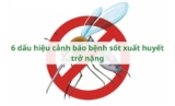 6 dấu hiệu cảnh báo bệnh sốt xuất huyết trở nặng