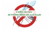 6 điều nên làm để phòng bệnh sốt xuất huyết