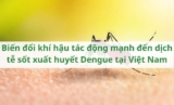 Biến đổi khí hậu tác động mạnh đến dịch tễ sốt xuất huyết Dengue tại Việt Nam