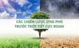 Các chiến lược ứng phó trước thời tiết cực đoan