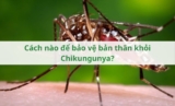 Cách nào để bảo vệ bản thân khỏi Chikungunya?