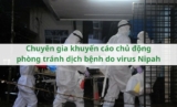 Chuyên gia khuyến cáo chủ động phòng tránh dịch bệnh do virus Nipah