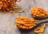 Đông trùng hạ thảo – Công dụng, cách dùng & những lưu ý cần biết