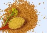 Bạch giới tử – Đặc điểm và công dụng trị bệnh hiệu quả