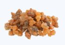 Một dược: Đặc điểm, công dụng và các bài thuốc trị bệnh hiệu quả