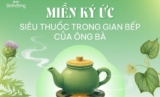 Dược Bình Đông: Hành trình bền vững đồng hành cùng sức khỏe gia đình Việt