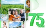 Dược Bình Đông – Người bạn thân thuộc trong mọi gia đình Việt