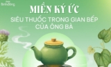 Dược Bình Đông: Hành trình bền vững đồng hành cùng sức khỏe gia đình Việt