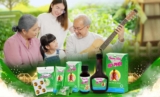 Top 6 sản phẩm bổ phổi giảm ho của Dược Bình Đông được tin dùng tại Đồng Nai