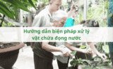 Hướng dẫn biện pháp xử lý vật chứa đọng nước