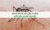 Mùa mưa lũ cẩn thận với sốt xuất huyết