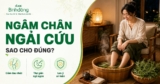 Ngâm chân ngải cứu: Tác dụng, cách làm đúng và những lưu ý để sử dụng an toàn tại nhà
