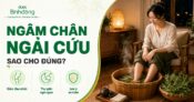 Ngâm chân ngải cứu: Tác dụng, cách làm đúng và những lưu ý để sử dụng an toàn tại nhà