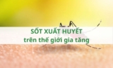 Sốt xuất huyết trên thế giới gia tăng