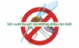 Sốt xuất huyết và những điều cần biết