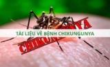 Tài liệu về bệnh Chikungunya