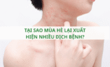 Tại sao mùa hè lại xuất hiện nhiều dịch bệnh?