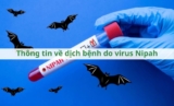 Thông tin về dịch bệnh do virus Nipah