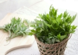 Ngải diệp(ngải cứu) và những lợi ích bất ngờ đối với sức khỏe phụ nữ