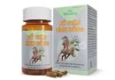 Top 5+ thực phẩm chức năng giúp bổ thận và những lưu ý khi sử dụng