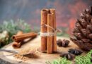 Quế chi – Vị thuốc quý với nhiều công dụng trị bệnh hiệu quả