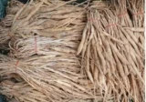 Các bài thuốc hay trị bệnh từ Bách bộ dược liệu
