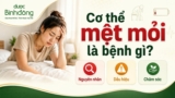 Cơ thể mệt mỏi là bệnh gì? 7 nhóm bệnh lý, dấu hiệu và cách xử lý