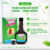 Thiên Môn Bổ Phổi – Dược Bình Đông (chai 280ml)