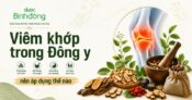 Tổng hợp 10+ bài thuốc, cây thuốc Nam trị viêm khớp