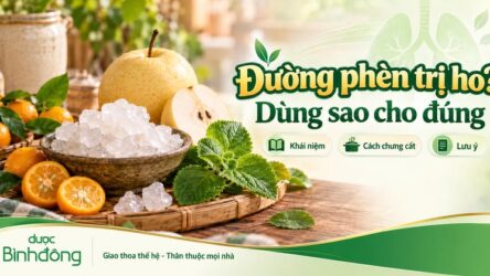 Đường phèn trị ho: Cách dùng đúng, 3 cách chưng đường phèn và dấu hiệu cần đi khám