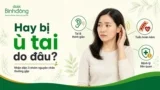 Hay bị ù tai là triệu chứng của bệnh gì​? Nguyên nhân, Dấu hiệu nguy hiểm và Cách xử lý