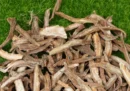 Tục đoạn thuộc nhóm thuốc nào có công dụng ra sao?