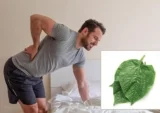 Chữa đau thần kinh tọa tại nhà bằng mẹo dân gian đơn giản, hiệu quả