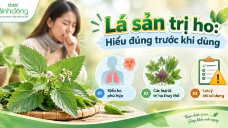 Lá sản chữa ho là lá gì? Hiểu đúng trước khi dùng để tránh nhầm cây