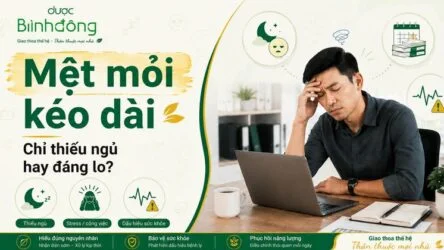 Mệt mỏi kéo dài: Khi nào do lối sống, khi nào là dấu hiệu bệnh?