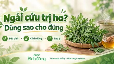 Ngải cứu trị ho: Cách dùng đúng cho ho lạnh và lưu ý cần tránh