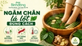 Ngâm chân lá lốt: 5 tác dụng, cách làm đúng và những lưu ý để sử dụng an toàn tại nhà