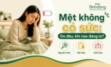 Vì sao cơ thể thường xuyên mệt mỏi không có sức? Cách giảm nhanh tại nhà