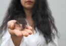 Rụng tóc do thiếu sắt: Dấu hiệu nhận biết và cách xử lý tại nhà