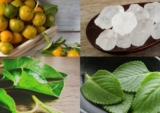 Tắc chưng mật ong có tác dụng gì và cách làm tại nhà như thế nào?